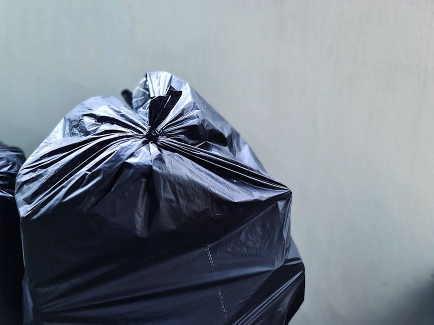 Household rubbish collection tips for Strawberry Hill residents